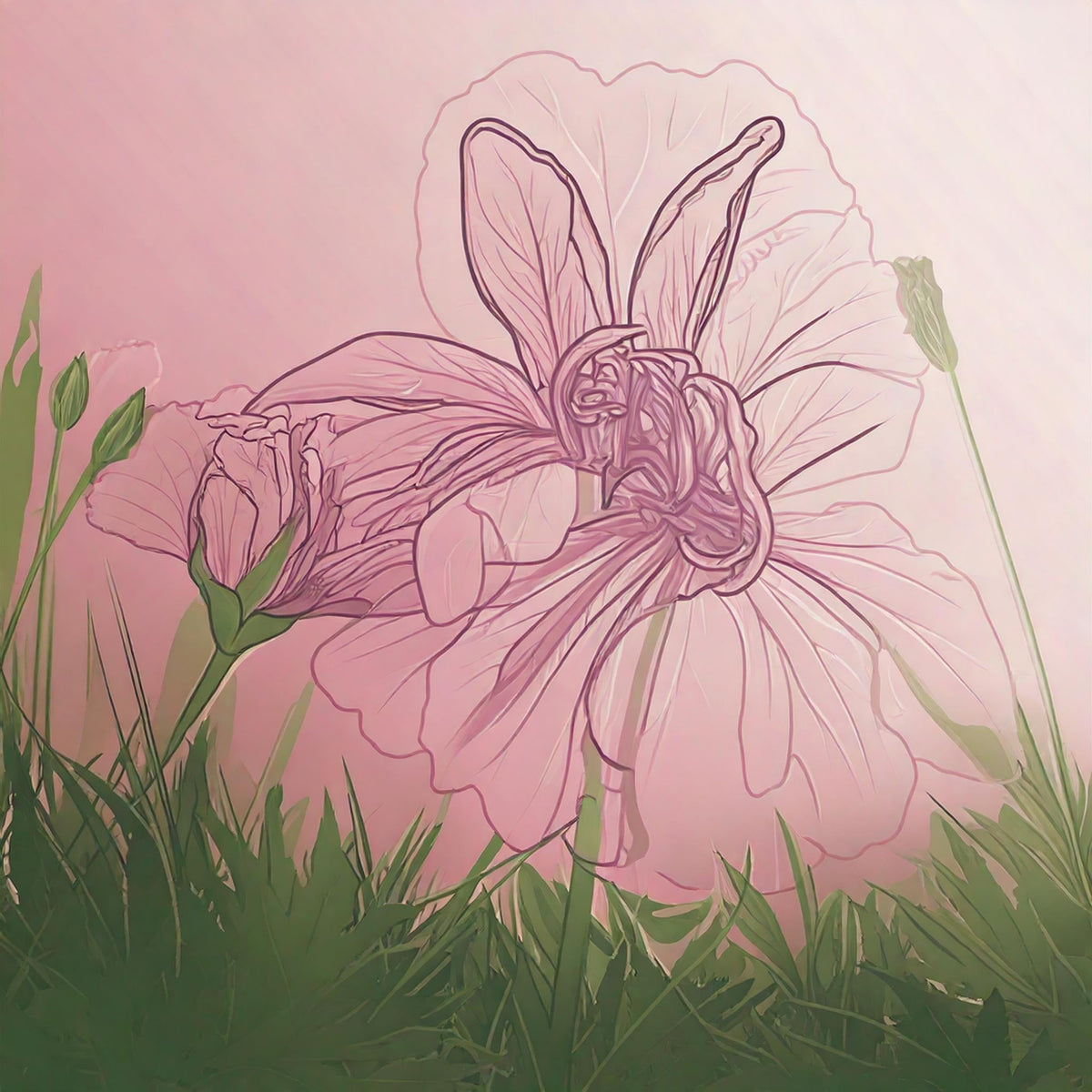 Geranium: The Queen of Emotional Balance and How This Floral Essential Oil Can Lift Your Mood and Keep You Calm