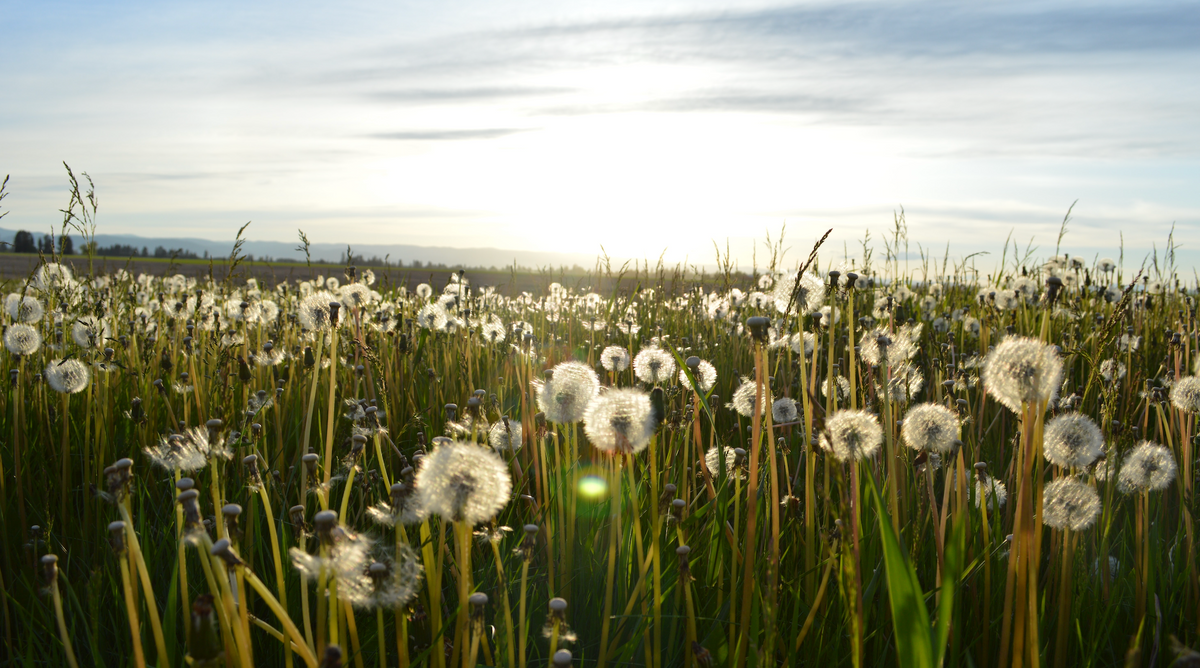 Combating Seasonal Depression