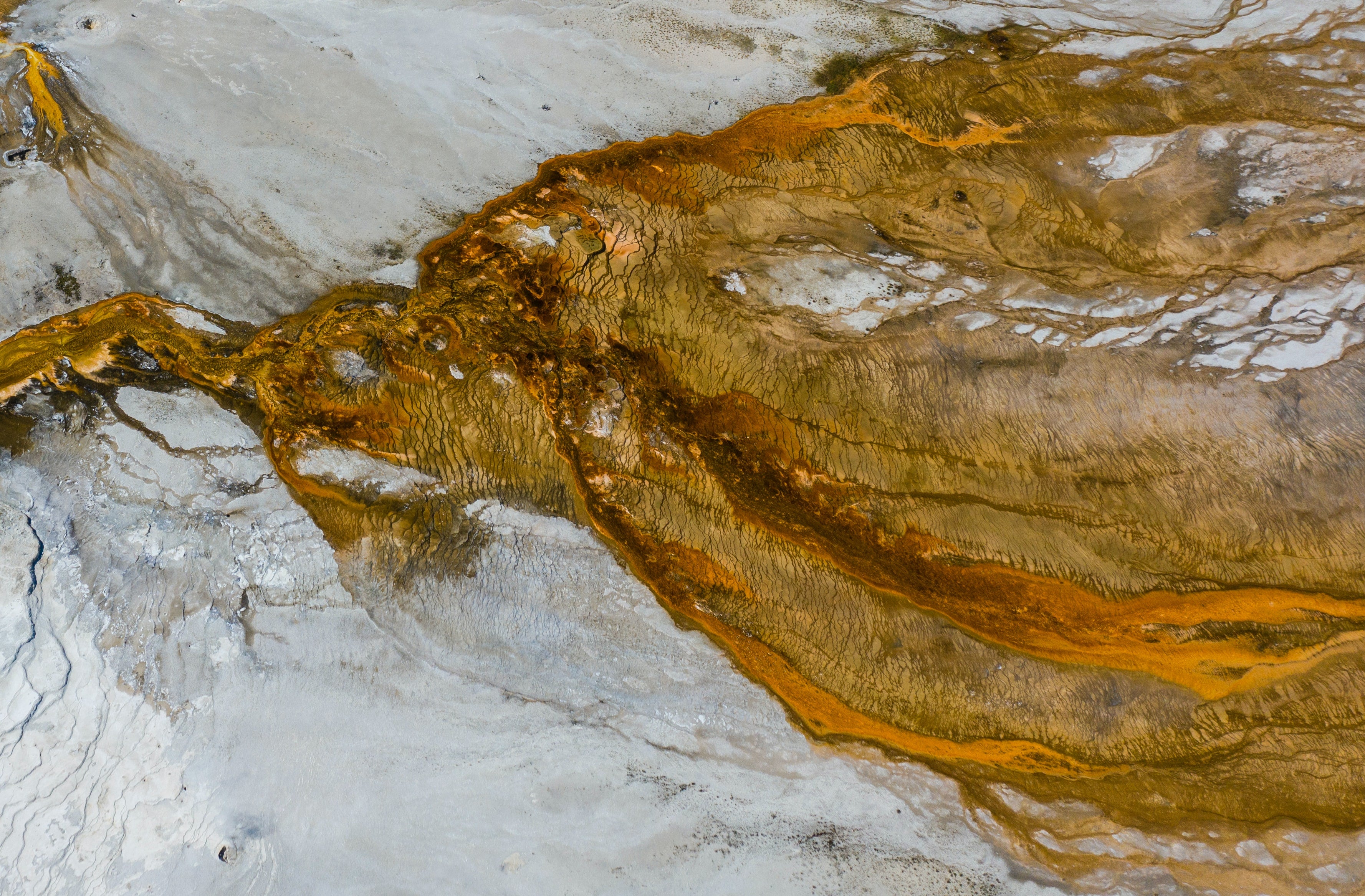 Mineral Matters: Why Our Bodies Need Them